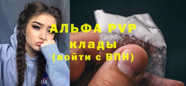 ПСИЛОЦИБИНОВЫЕ ГРИБЫ Каменка