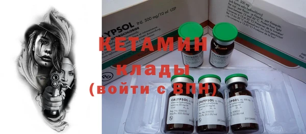 ПСИЛОЦИБИНОВЫЕ ГРИБЫ Каменка