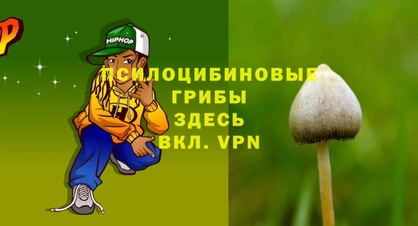 прущая мука Каменногорск