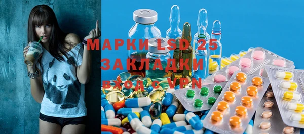 ПСИЛОЦИБИНОВЫЕ ГРИБЫ Каменка