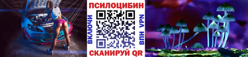 Купить закладки  Никольск  Псилоцибиновые грибы Cubensis 