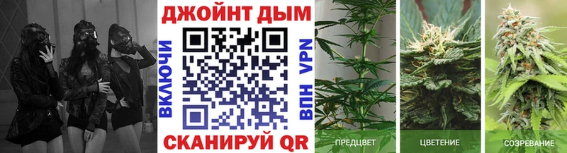 Марихуана LSD WEED Никольск